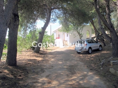 Villetta indipendente immersa nel verde. Torre Vado - Foto 2