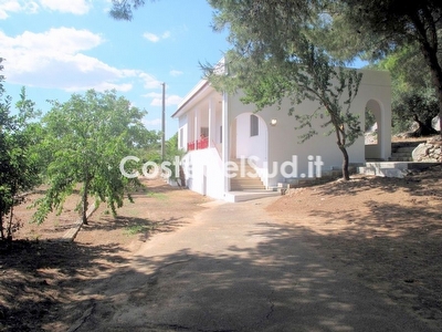 Villetta indipendente immersa nel verde. Torre Vado - Foto principale