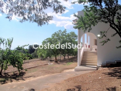 Villetta indipendente immersa nel verde. Torre Vado - Foto 4