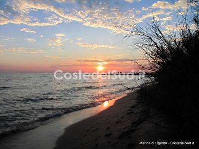 Comodo appartamento con centro e spiagge sabbiose a piedi. Torre Mozza - Foto 29