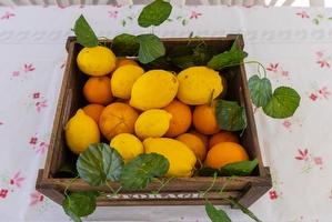 Appartamento con spazi esterni e sabbia vicinissima. Torre Mozza - Foto 6