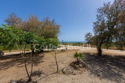 Appartamento fronte mare spiaggia sabbiosa a piedi. Torre Mozza - Foto 27