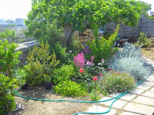 Villetta indipendente tra mare e campagna. Marina di Marittima - Foto 10