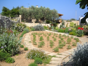 Villetta indipendente tra mare e campagna. Marina di Marittima - Foto 6