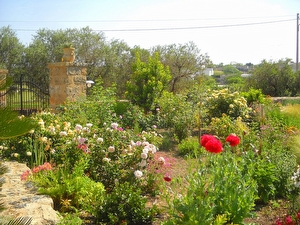 Villetta indipendente tra mare e campagna. Marina di Marittima - Foto 7