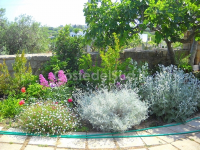 Villetta indipendente tra mare e campagna. Marina di Marittima - Foto 11