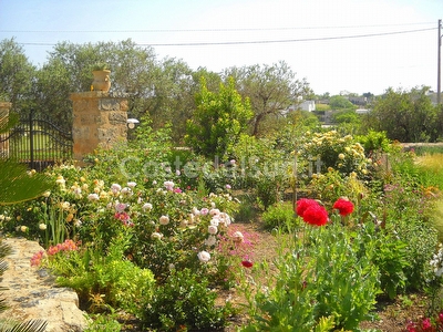 Villetta indipendente tra mare e campagna. Marina di Marittima - Foto 7