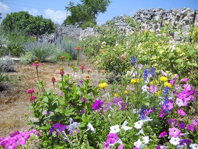 Villetta indipendente tra mare e campagna. Marina di Marittima - Foto 9