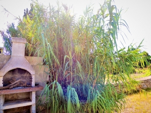 Villino indipendente fronte mare e ampi spazi esterni. Santa Maria di Leuca - Foto 19