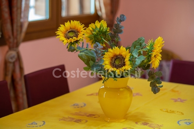 Villetta indipendente ampi spazi esterni con mare e passeggio a piedi. Torre Pali - Foto 14