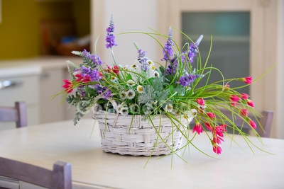 Villetta indipendente di nuova costruzione con ampi spazi esterni. Torre Pali - Foto 16