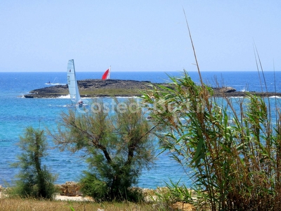 Appartamento nel cuore della mare mare e passeggio a piedi. Torre San Giovanni - Foto 29