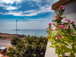 Attico fronte mare - vista panoramica - comoda terrazza esclusiva - Torre San Giovanni - Foto 8