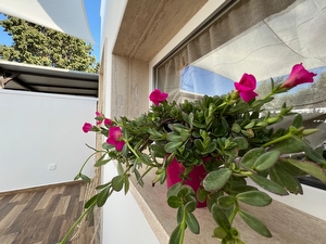 Casa indipendente con spazi esterni e mare vicino Torre Lapillo - Foto 5