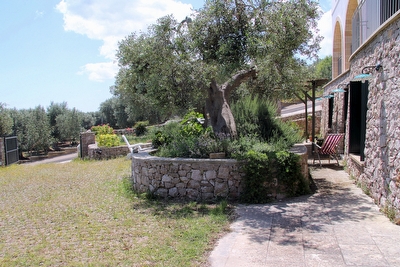 Appartamento piano terra con tanto verde e mare vicino. Marina di Novaglie - Foto 9