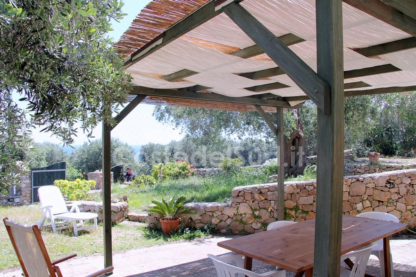 Appartamento piano terra con tanto verde e mare vicino.