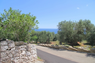 Appartamento primo piano vista mare immerso nel verde.