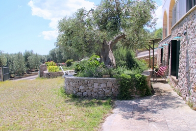 Appartamento primo piano vista mare immerso nel verde. Marina di Novaglie - Foto 6