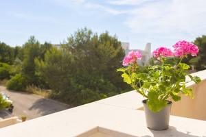 Attico nuovissimo climatizzato con mare vicino. Santa Maria di Leuca - Foto 15