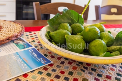 Appartamento spazioso primo piano passeggio e mare a piedi. Torre Pali - Foto 10