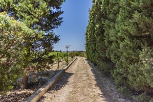 Casa vacanza immersa nella natura Torre San Giovanni - Foto 3