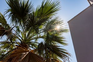 Casa Vacanza - Giardino - In zona tranquilla Posto Rosso - Foto 7