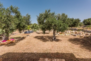 Vivi una emozione fantastica a contatto con la natura in una costruzione tipica salentina Torre San Gregorio - Foto 11