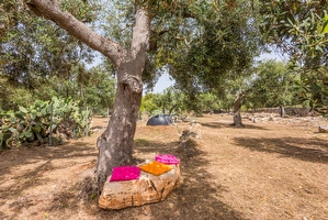 Vivi una emozione fantastica a contatto con la natura in una costruzione tipica salentina Torre San Gregorio - Foto 12