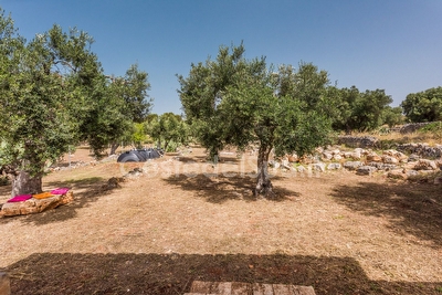 Vivi una emozione fantastica a contatto con la natura in una costruzione tipica salentina Torre San Gregorio - Foto 11