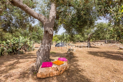 Vivi una emozione fantastica a contatto con la natura in una costruzione tipica salentina Torre San Gregorio - Foto 12