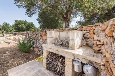 Vivi una emozione fantastica a contatto con la natura in una costruzione tipica salentina Torre San Gregorio - Foto 13