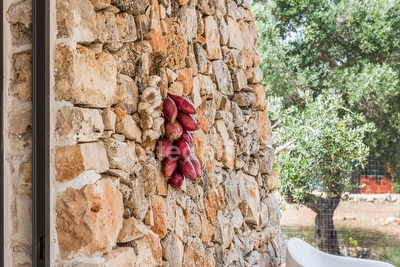 Vivi una emozione fantastica a contatto con la natura in una costruzione tipica salentina Torre San Gregorio - Foto 7