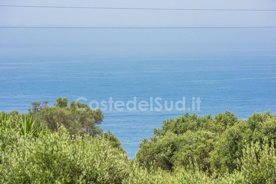 Vivi una emozione fantastica a contatto con la natura in una costruzione tipica salentina Torre San Gregorio - Foto 9
