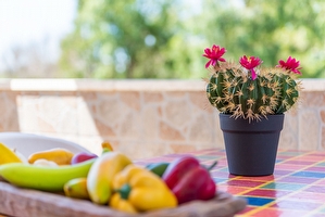 Appartamento a 150 metri dalla spiaggia di sabbia Lido Marini - Foto 14