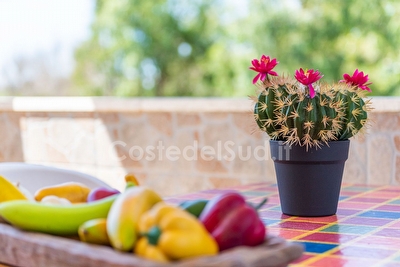 Appartamento a 150 metri dalla spiaggia di sabbia Lido Marini - Foto 14