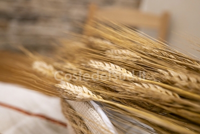 Appartamento a 70 metri dal mare Torre San Giovanni - Foto 13