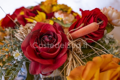 Appartamento a 2 passi dal mare Torre San Giovanni - Foto 10