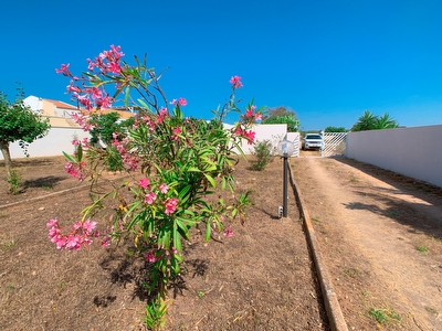 Comoda villa indipendente con ampio giardino esclusivo - mare a 350 m