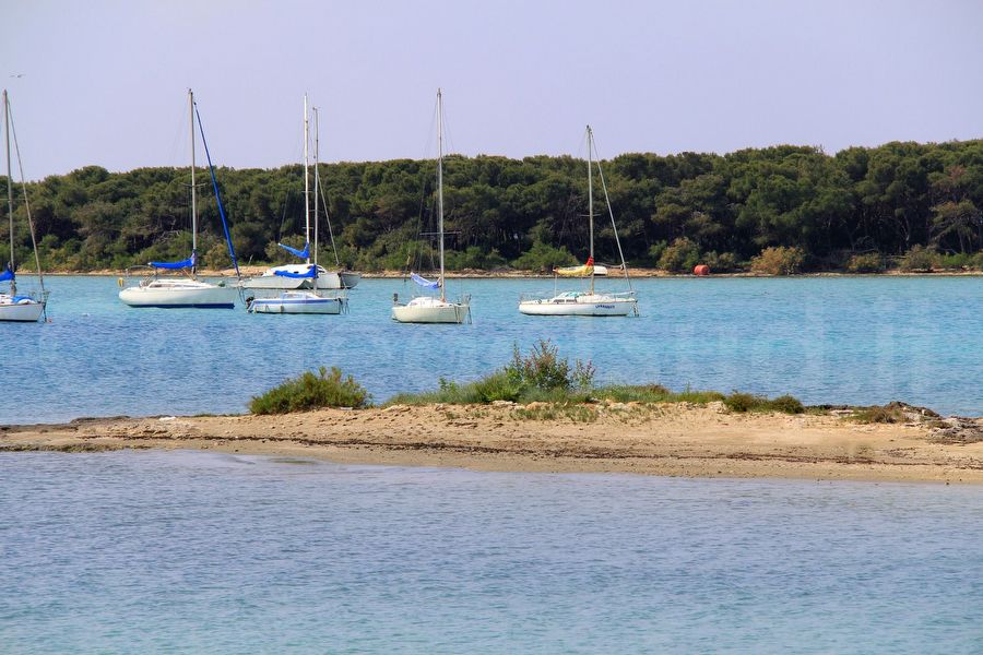 barche A Vela In Rada
