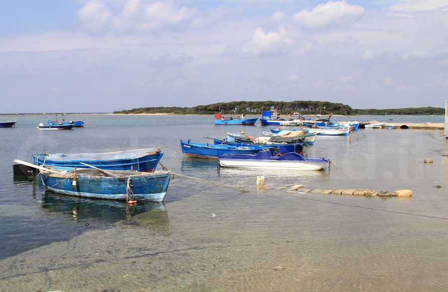 isola Dei Conigli Panoramica