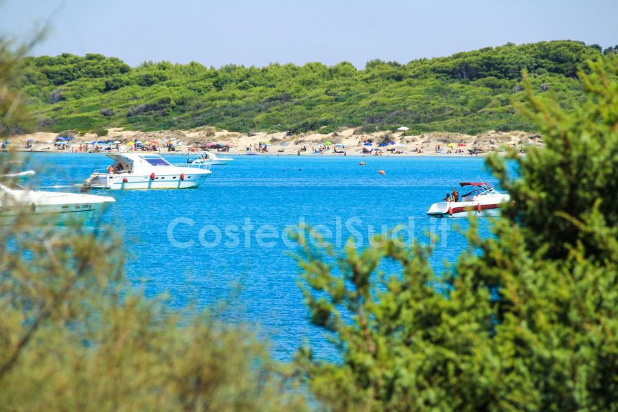 barche In Rada Nella Baia