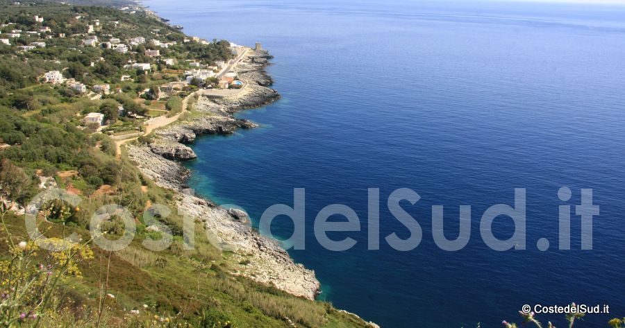 foto Marina Serra Foto 18