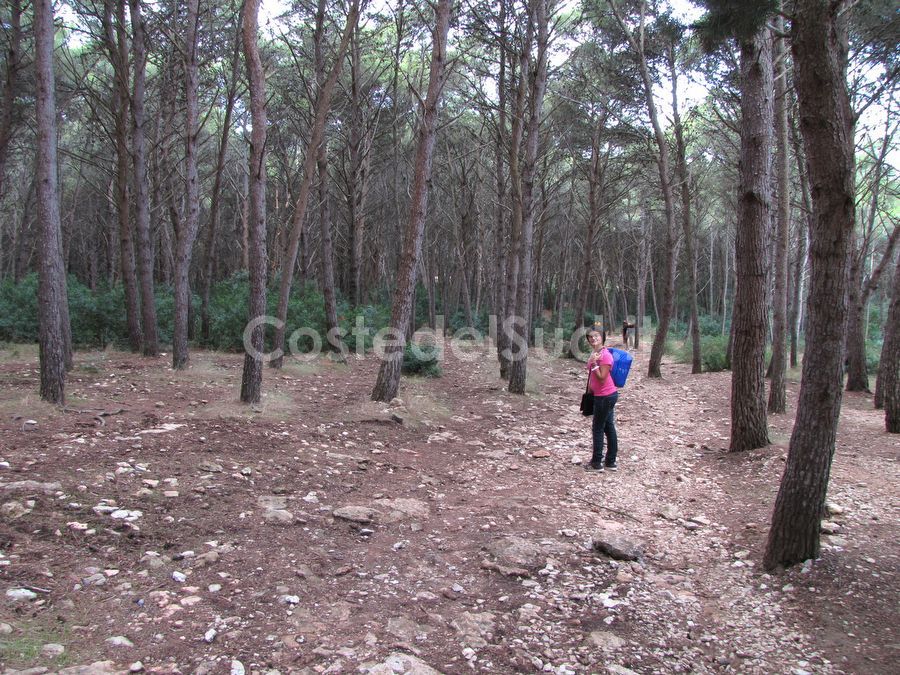 boschetto Di Porto Selvaggio