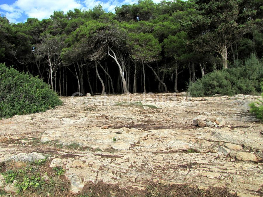 il Bosco Porto Selvaggio