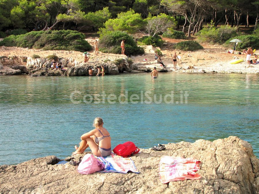 panoramaporto Selvaggio