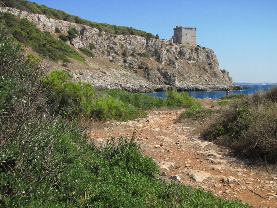 torre Dell Alto Vista Da Porto Selvaggio