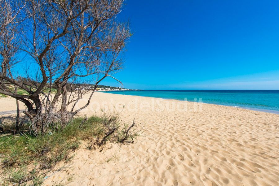 posto Vecchio Mare 1