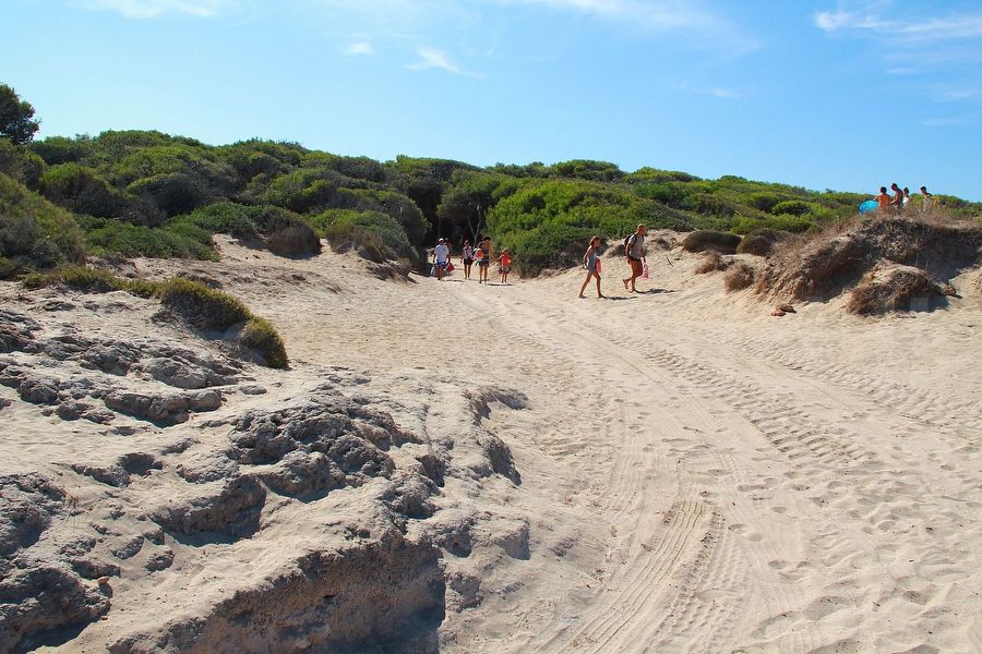 pineta E Macchia Mediterranea