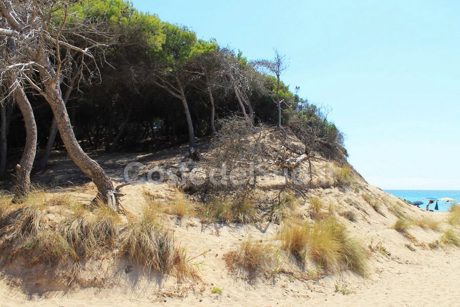 le Dune Di Punta Prosciutto