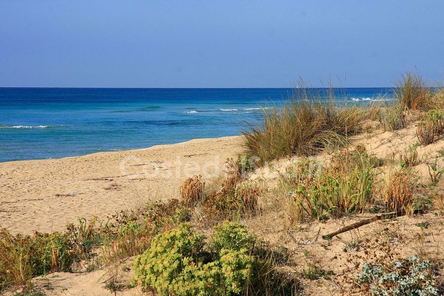 san Pietro In Bevagna 1